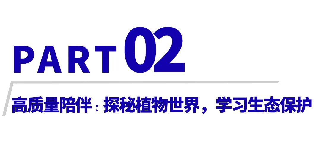 新澳门宝典资料